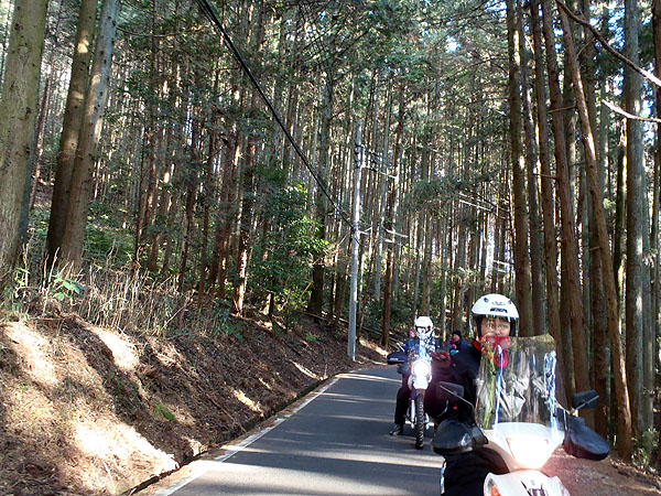 羽黒山林道（舗装林道）